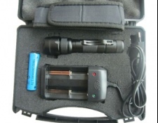 UV Lights / Torches